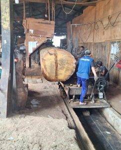 Precision wood cutting and treatment process at Touchwood Indonesia factory
